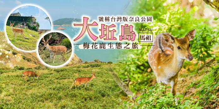 大坵島梅花鹿生態之旅